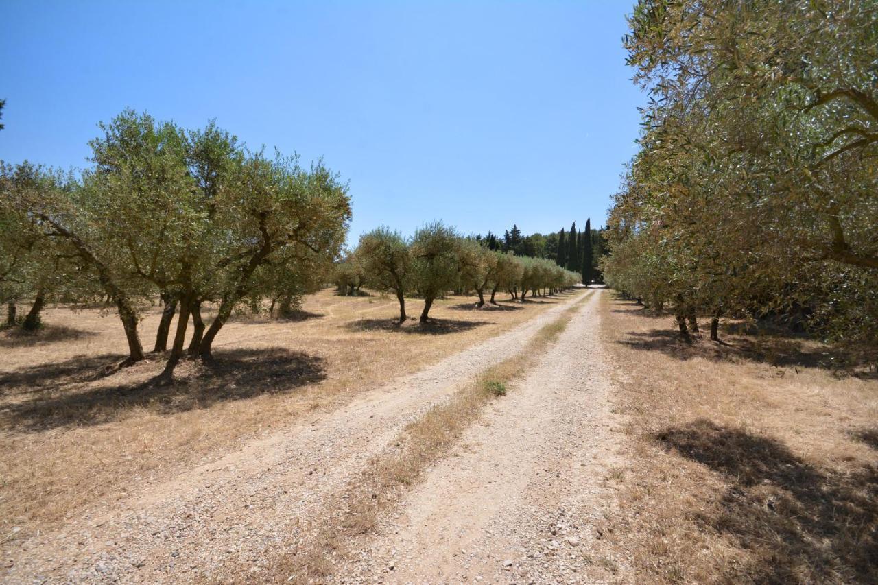 Les Mazets De La Reine Pedauque Villa Paradou Dış mekan fotoğraf