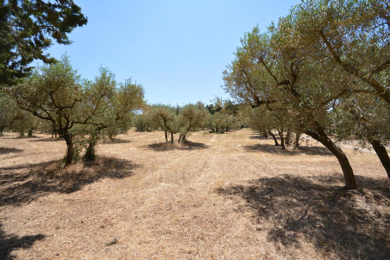 Les Mazets De La Reine Pedauque Villa Paradou Dış mekan fotoğraf
